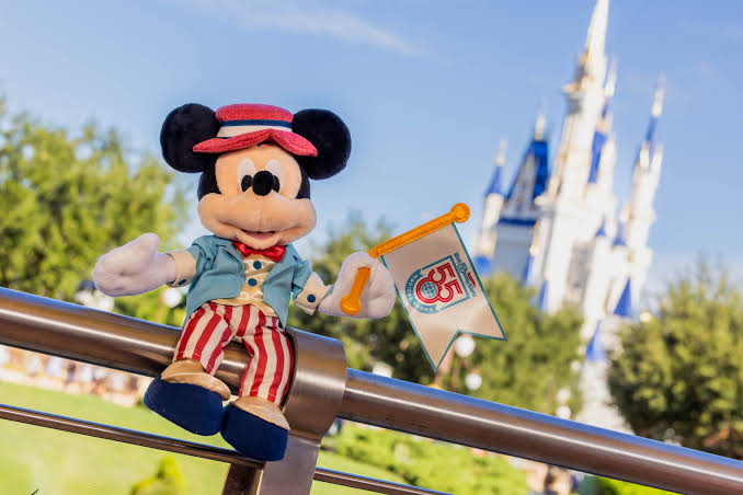 image shows a mickey mouse toy i