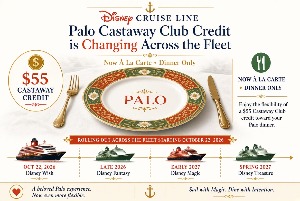 image shows details of changes coming to Palo 