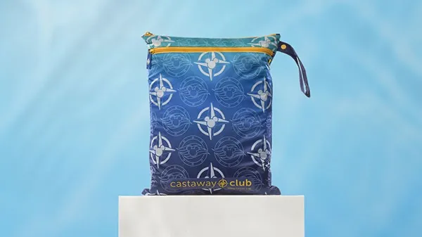 wet dry bag